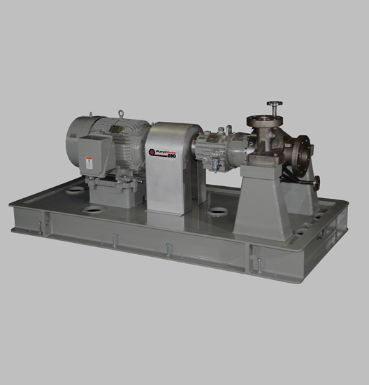 Horizontal Surface Pumps DXP Enterprises