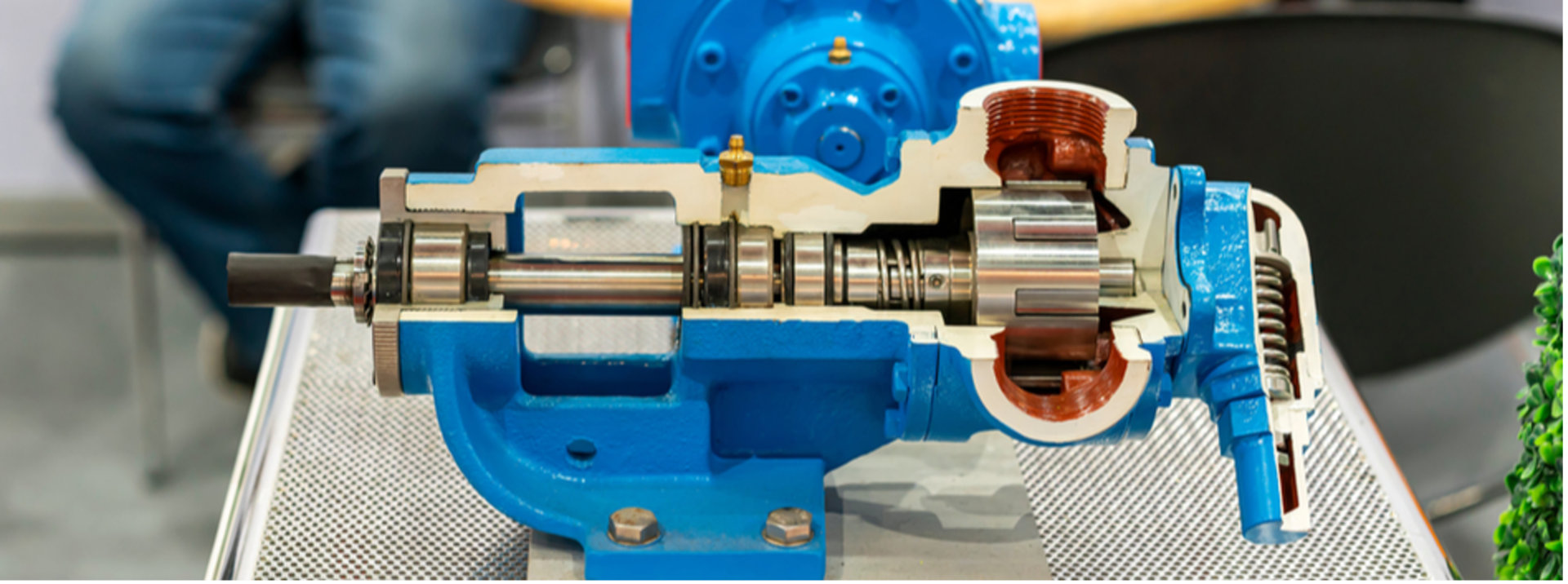 All About Positive Displacement Pumps DXP Enterprises