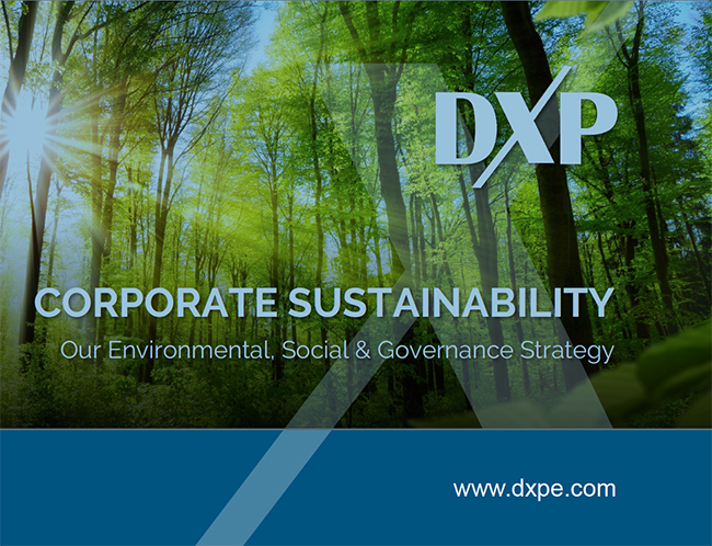 Corporate Sustainability 2021