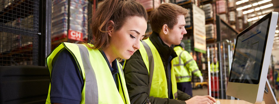 inventory audit procedure and software